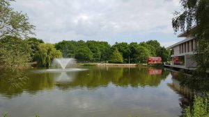 16-300x169 University Life 2016-17