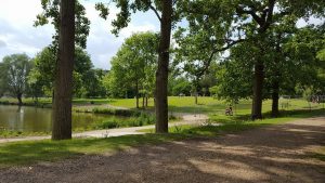 20-300x169 University Life 2016-17