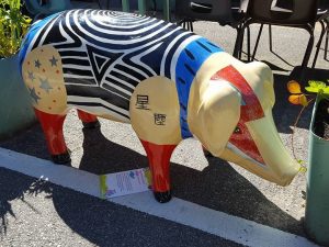 13669229_152796801792158_2431646043958657818_n-300x225 Pigs Gone Wild Challenge (Ipswich)