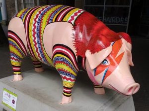 13686648_152113131860525_2664522816233352804_n-300x225 Pigs Gone Wild Challenge (Ipswich)