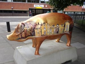 13686684_152113011860537_8455523320243179088_n-300x225 Pigs Gone Wild Challenge (Ipswich)