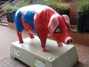 13690600_152112515193920_1273600169318968759_n-300x225 Pigs Gone Wild Challenge (Ipswich)