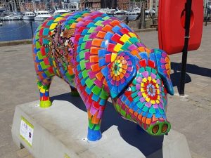 13690673_152751985129973_6252653893651949901_n-300x225 Pigs Gone Wild Challenge (Ipswich)