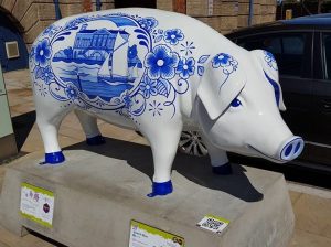 13690728_152752045129967_3206181208758092137_n-300x224 Pigs Gone Wild Challenge (Ipswich)
