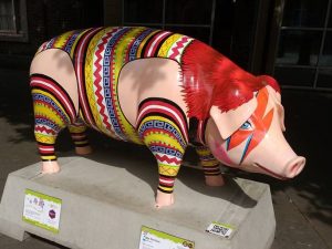 13700065_152113168527188_7240872408585222124_n-300x225 Pigs Gone Wild Challenge (Ipswich)