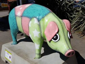 13700160_152752081796630_7868723849697551468_n-300x225 Pigs Gone Wild Challenge (Ipswich)