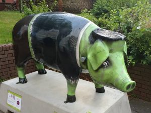 13700192_152114021860436_5007929857305478061_n-300x225 Pigs Gone Wild Challenge (Ipswich)