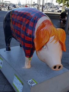 13709791_152752005129971_3913181659672739917_n-225x300 Pigs Gone Wild Challenge (Ipswich)