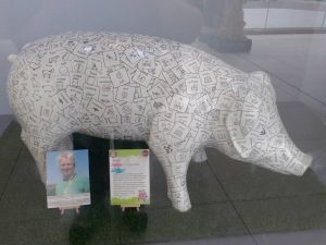 13709836_152112645193907_6789348475482172011_n-300x225 Pigs Gone Wild Challenge (Ipswich)