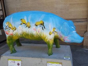 13709986_152752098463295_7069552739757672142_n-300x225 Pigs Gone Wild Challenge (Ipswich)