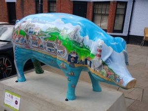 13726735_152113111860527_8263370223078819128_n-300x224 Pigs Gone Wild Challenge (Ipswich)