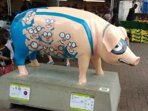 13726771_152112798527225_7434600017359218887_n-300x225 Pigs Gone Wild Challenge (Ipswich)