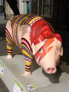 13754289_152113148527190_3393157337934131932_n-226x300 Pigs Gone Wild Challenge (Ipswich)