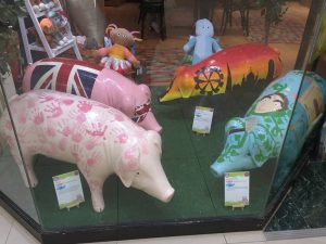 13754299_152112665193905_3944609329314291819_n-300x225 Pigs Gone Wild Challenge (Ipswich)