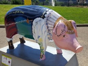 13770404_152751931796645_9099144885656216315_n-300x225 Pigs Gone Wild Challenge (Ipswich)