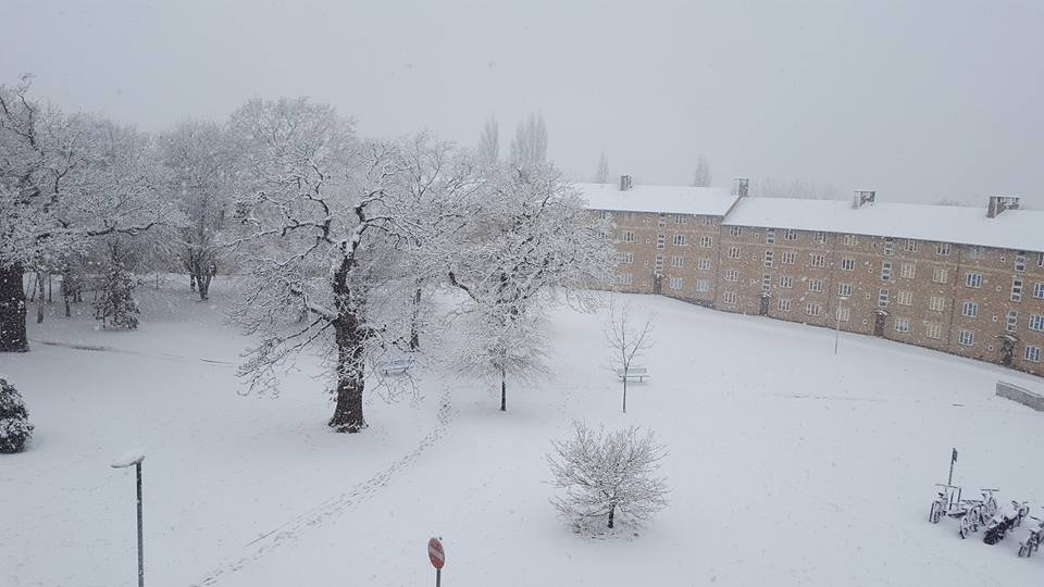 Snow Day at Uni 2017