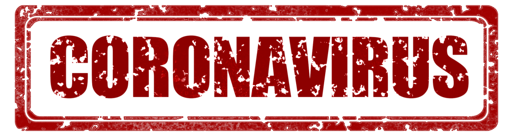 coronavirus-4817431_1920-1024x274 2020 in a Nutshell... HELP!!